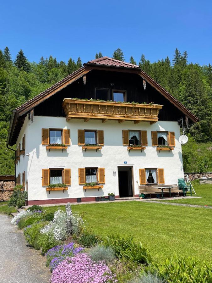Haus Tanne Homestay
