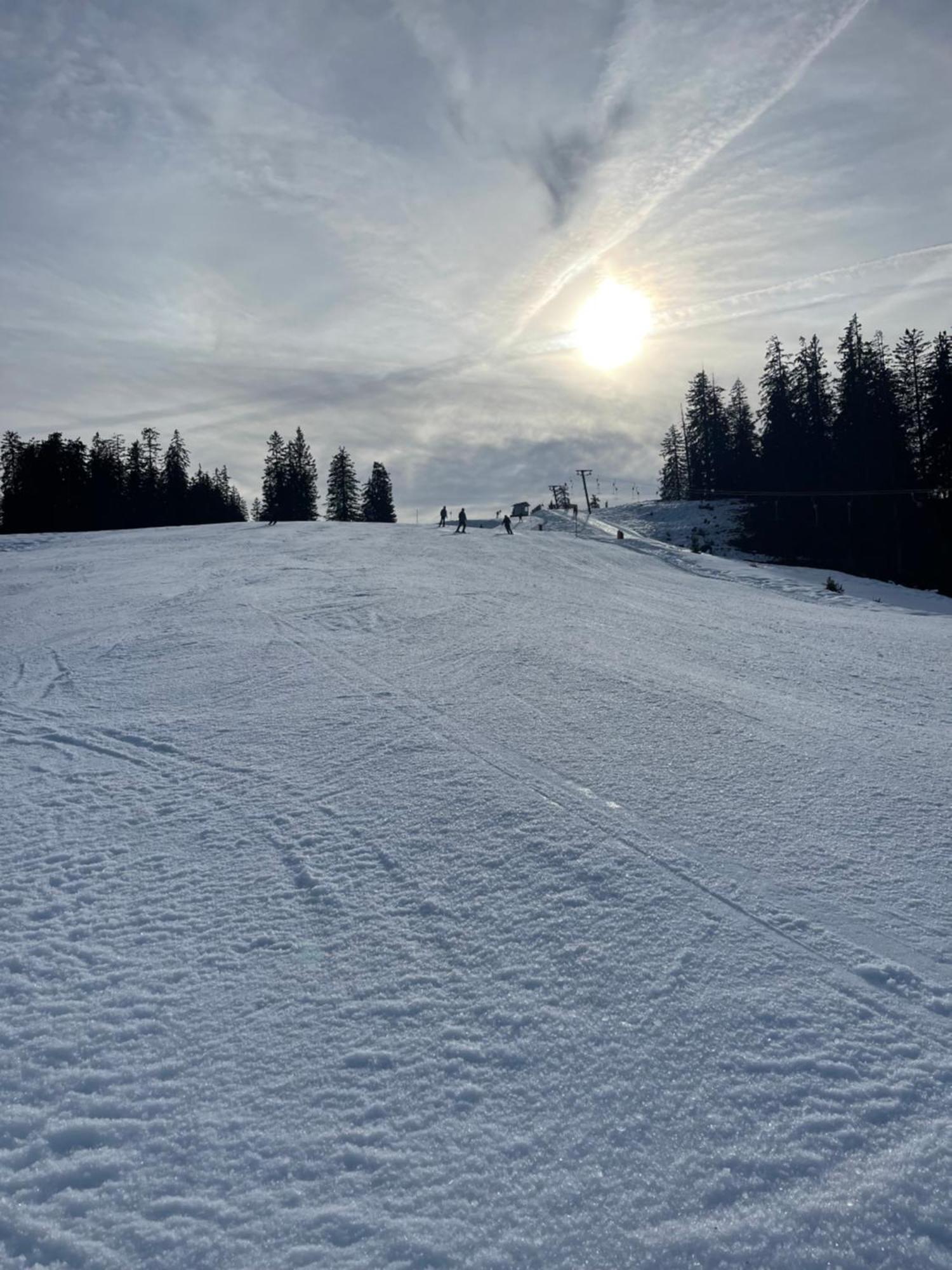 Homestay Haus Tanne Abtenau