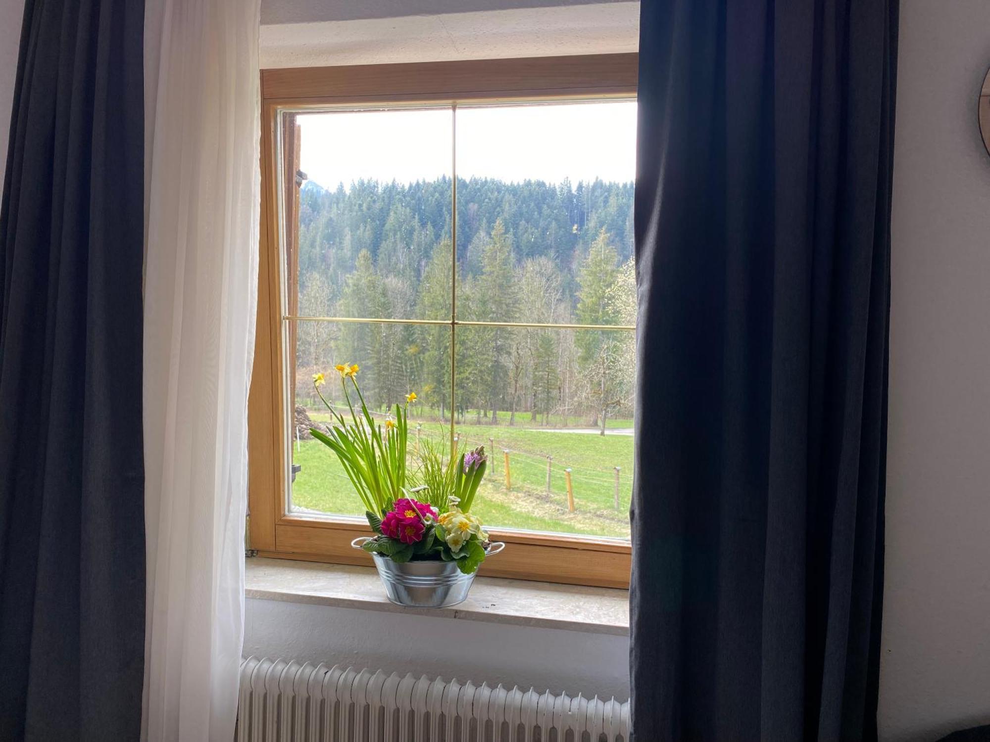 Haus Tanne Homestay Abtenau